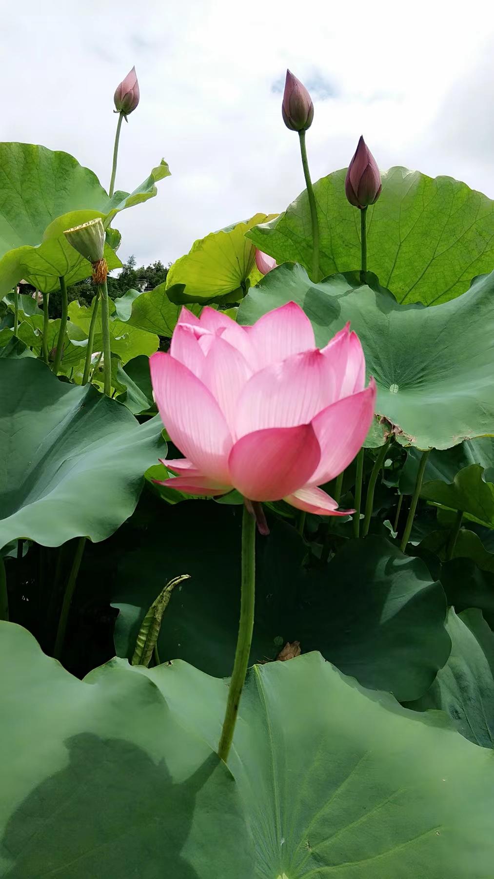 http://www.makedream88.cn/hsdt/221.html